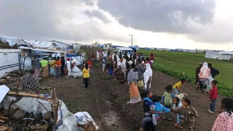 በትግራይ «70 ካሬ» የተፈናቃዮች ማዕከል በጣለው ከባድ ዝናብ እና ንፋስ ከ20 በላይ ጊዜያዊ መጠለያዎች ሙሉ በሙሉ ወደሙ፡፡የ…