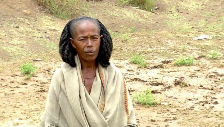 በትግራይ በደረሰው ድርቅ የሰውና የእንስሳት ሕይወት አደጋ ላይ መውደቁ ተገለጸ